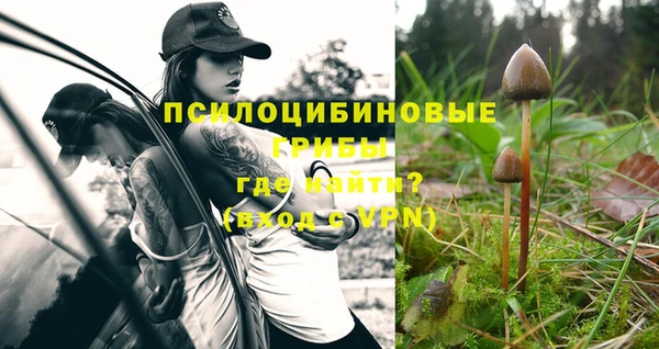 скорость Остров