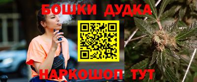 шишки Апшеронск