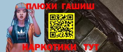 мдпв Бийск