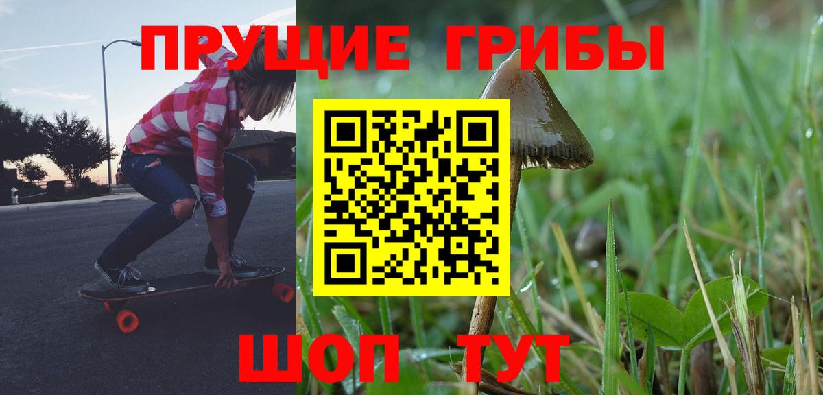 Псилоцибиновые грибы MAGIC MUSHROOMS  Вход с VPN  Асбест  Псилоцибиновые грибы Psilocybe 