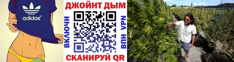 купить наркотик  Асбест  mega ONION  shop телеграм  Бошки марихуана Amnesia 